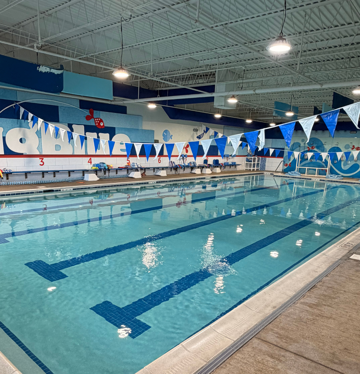 Big Blue Swim School Hoffman Estates, IL indoor pool